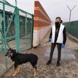 Волонтеры района Косино-Ухтомский передали в Кожуховский приют корм для бездомных животных