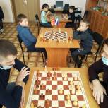 Коркино: Шахматный турнир