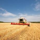 Объем производимой сельхозпродукции в КБР вырос на 4,2%