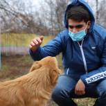 Волонтеры «Единой России» помогают в регионах приютам для бездомных животных