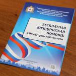 В городской Думе Нижнего Новгорода обсудили вопросы оказания бесплатной юридической помощи детям и многодетным семьям