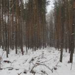 Вопросы лесного хозяйства обсудили в Саткинском районе
