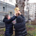 В районе Дорогомилово сторонники «Единой России» разместили скворечники для птиц