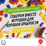 «Единая Россия» в регионах организовала сбор подарков для детей на лечении