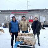 Актив партии «Единая Россия» помог приюту для животных в Оленегорске во Всемирный день доброты