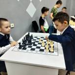 В рамках мобилизационного партпроекта в Благоварском районе открылся шахматный клуб
