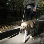 По инициативе «Единой России» в бюджете увеличат финансирование организаций, занимающихся подготовкой собак-проводников