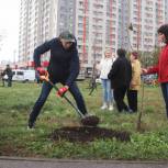 Высадка деревьев и цветов, уборка территорий и сбор старой электротехники: «Единая Россия» провела экологические акции в регионах