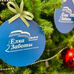 29 ноября на Ямале стартует благотворительная акция «Елка Заботы-2022»