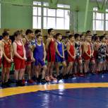 Луховицкое отделение «Единой России» помогло провести турнир по греко-римской борьбе