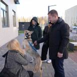 Петербургские единороссы проверили условия содержания домашних животных, которых оставили на передержку мобилизованные горожане