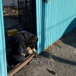 «Единая Россия» в Хабаровске продолжает помогать семьям мобилизованных