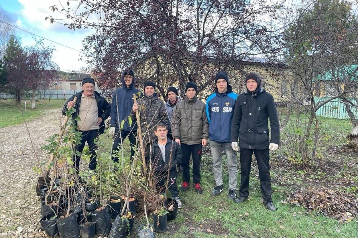 В Мамадыше состоялась посадка деревьев