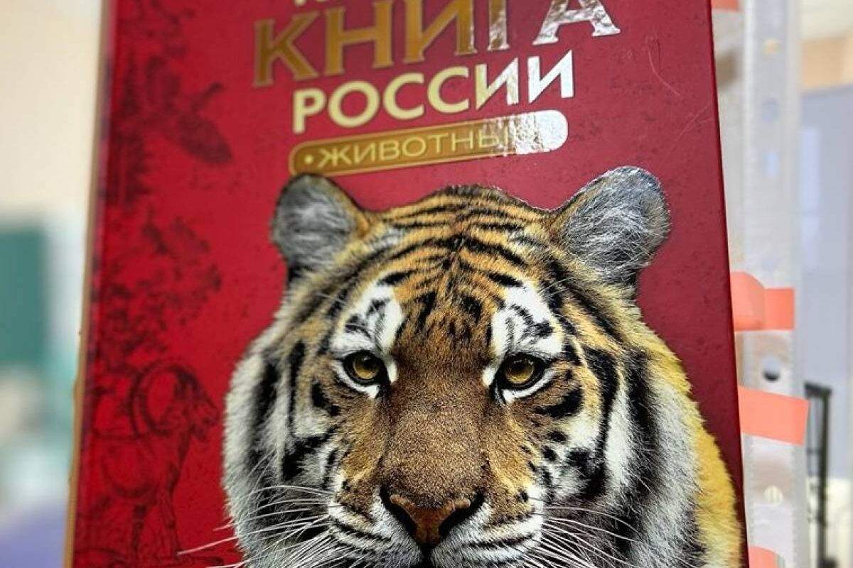 Наталья Миндрина: Акция «Уроки добра» помогает привить детям любовь к  животным и ответственное отношение к природе