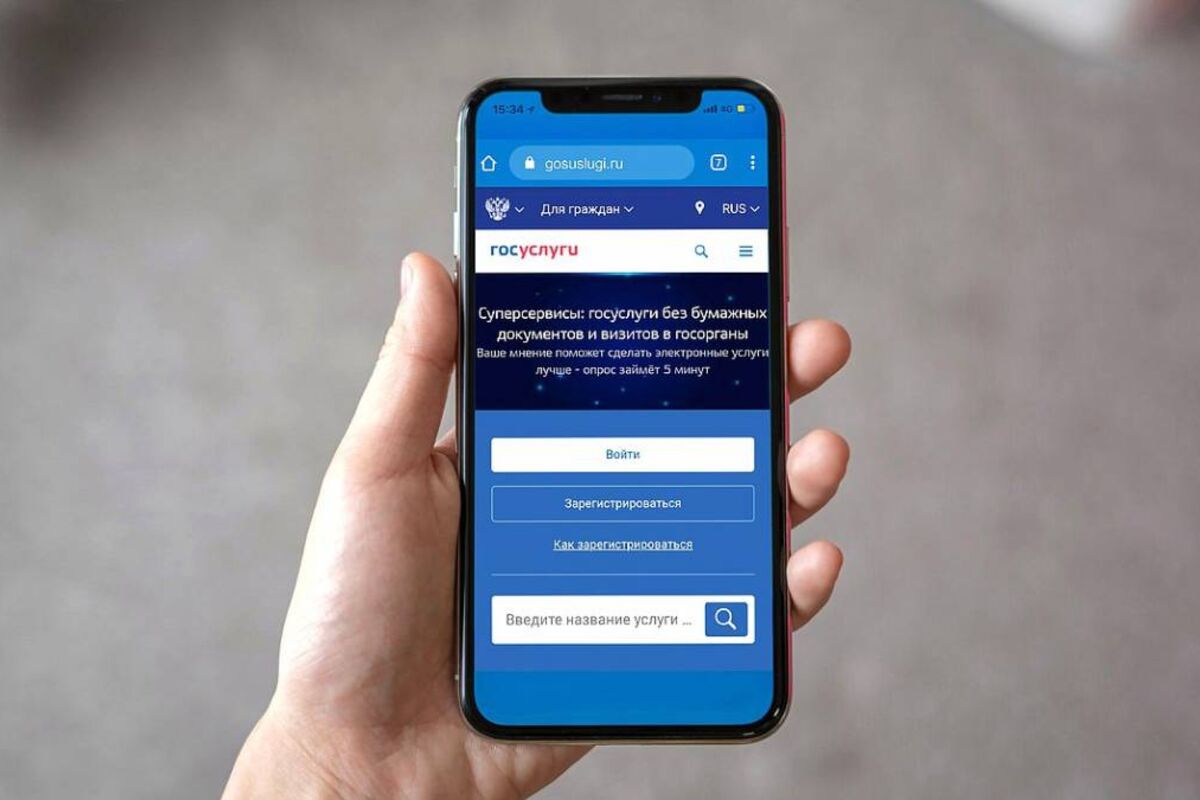 Граждане смогут направлять обращения в органы власти через портал «Госуслуги »