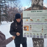 Активисты «Единой России» установили кормушки для птиц в химкинском парке