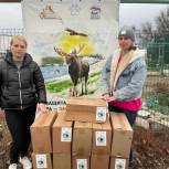 Активисты партпроекта «Защита животного мира» передали зооволонтёрам в Волгограде партию корма для животных