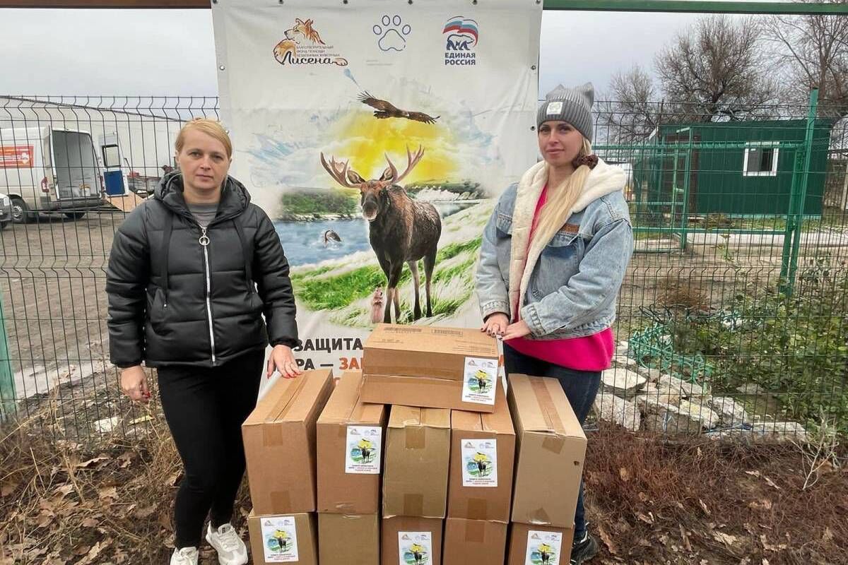 Активисты партпроекта «Защита животного мира» передали зооволонтёрам в Волгограде партию корма для животных