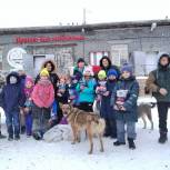 Во Всемирный день доброты активисты «Единой России» помогли приюту для животных в Оленегорске