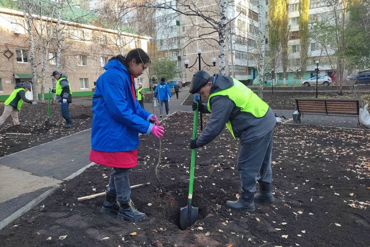 Открыли новый сквер