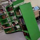 Павел Малков: В Рязанской области отремонтируют 4 детские школы искусств, 7 библиотек получат статус модельных