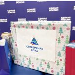 «Единая Россия» дала старт благотворительной акции «Серебряная елка»