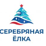 «Серебряная елка»: в Нижегородской области стартовала благотворительная акция по сбору новогодних подарков для пожилых людей