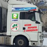«Единая Россия» отправляет в ЛНР очередную гуманитарную колонну