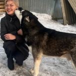 Активисты «Единой России» передали помощь приютам для животных в ХМАО и Брянской области