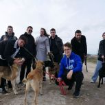 В Севастополе «Единая Россия» взяла шефство над приютом для бездомных животных
