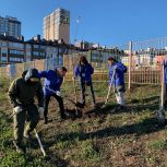 В Ставрополе прошла экологическая акция «Дни зелёных действий»