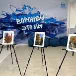 В Штабе общественной поддержки «Единой России» открылась фотовыставка «Мой Воронеж. Осень»