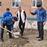 По проекту «Российское село» в Чеченской Республике проходит акция по посадке молодых деревьев