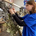 Молодогвардейцы и активисты «Волонтерской Роты» продолжают плетение маскировочных сетей