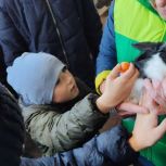 В Хабаровском крае «Единая Россия» организовала отдых для детей с ОВЗ