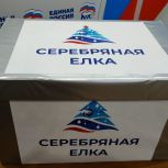 «Единая Россия» запустила благотворительную акцию «Серебряная ёлка»