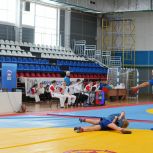 «Единая Россия» организовала в регионах соревнования по самбо к 85-летию отечественного вида спорта