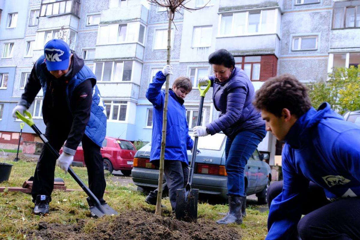 Единороссы принимают активное участие в озеленении города