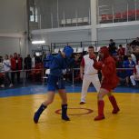 В Ульяновске состоялся Всероссийский мастерский турнир по боевому самбо