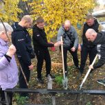 В Астрахани стартовала акция «Зеленый двор»