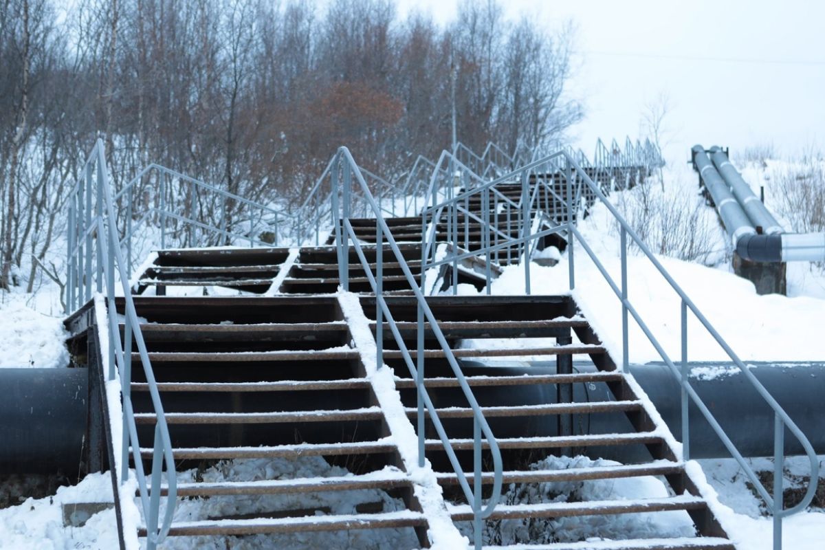 На севере твой проект 2024