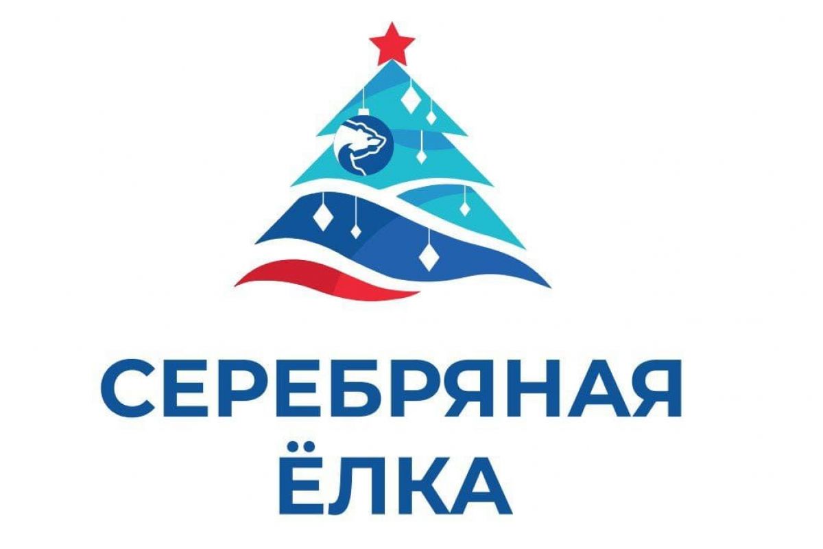 «Единая Россия» запустила благотворительную акцию «Серебряная елка»