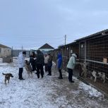 Курские единороссы посетили приют для домашних животных в Октябрьском районе