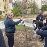 В Каспийске активисты «Единой России» присоединились к акции «Сад Памяти»