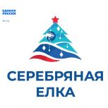 В Ульяновской области стартовала благотворительная акция «Серебряная ёлка»