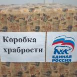 Сторонники  и депутаты «Единой России» приняли участие в акции «Коробка храбрости»