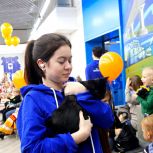 В рамках партийного проекта «Защита животного мира» в Волгограде прошла ярмарка добра