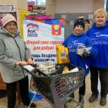 В Приморском крае «Единая Россия» организовала благотворительную акцию в поддержку бездомных животных