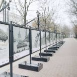 Уличная фотовыставка «82-я годовщина парада на Красной площади» открылась в парке «Сокольники»