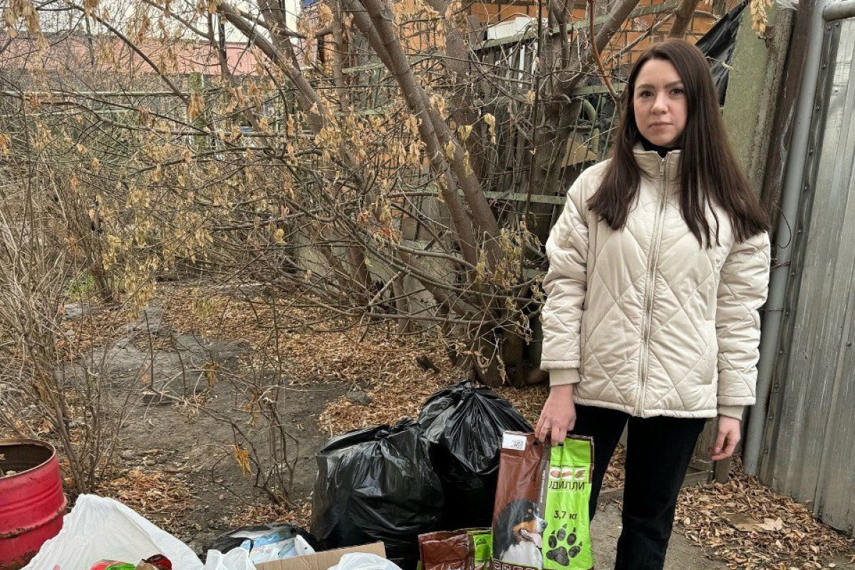 В штабе общественной поддержки «Единой России» в Красноярске собрали помощь для зооприюта